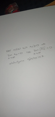 Sinem D.
