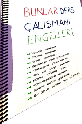Selvi A.