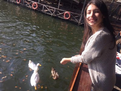 Buse A.